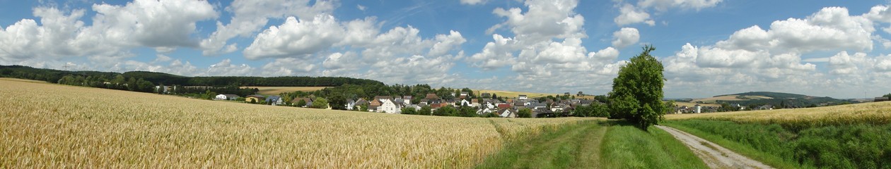 Ortsgemeinde Lohrheim